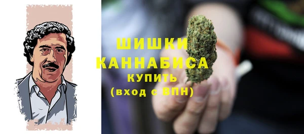 соль ск Богданович