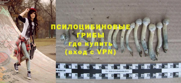 соль ск Богданович